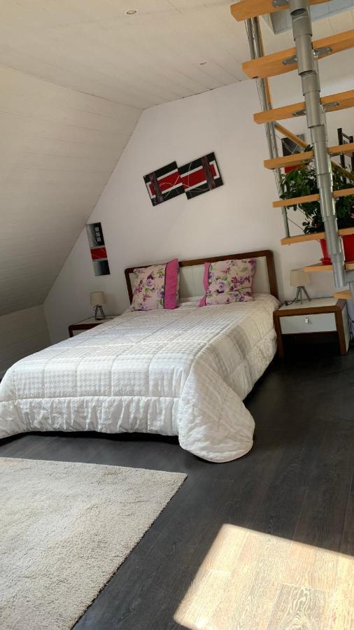 Chalet L Ecrin Vert Plaine Экстерьер фото